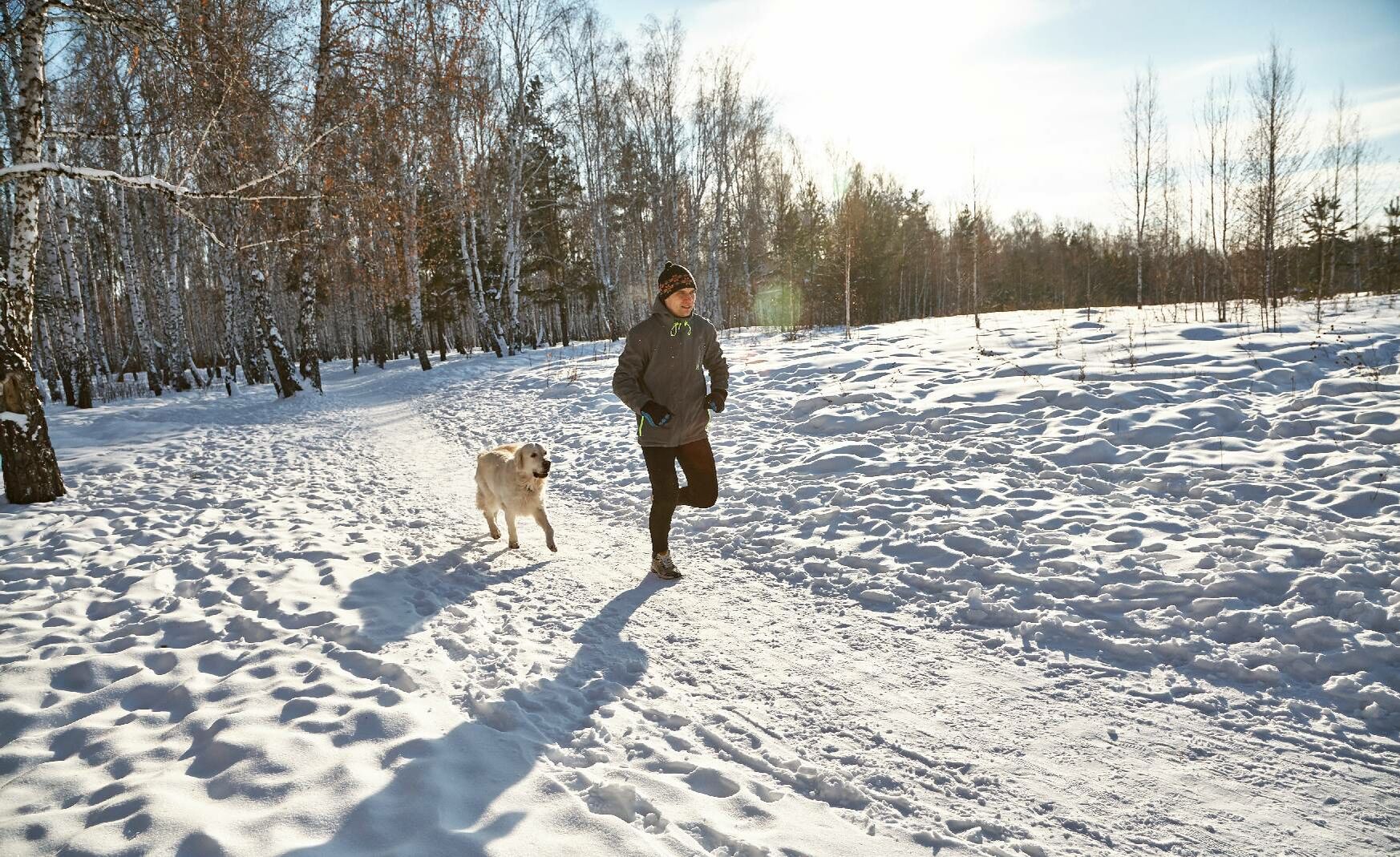 Hund und Halter laufen durch eine Schneelandschaft.