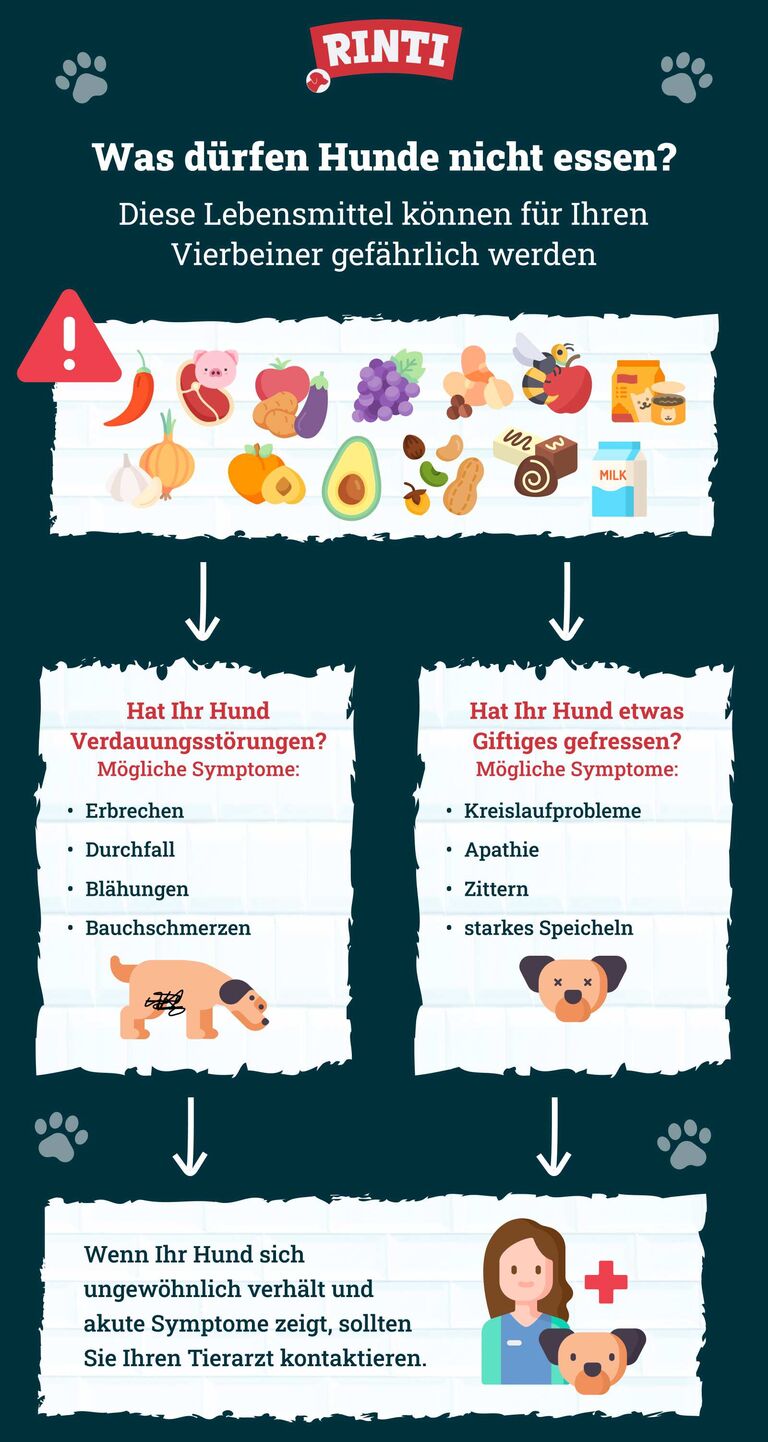Was Durfen Hunde Nicht Essen Liste Pdf