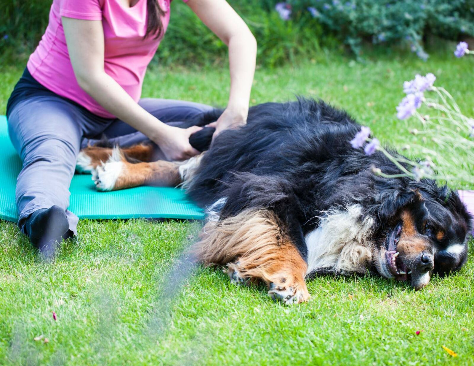 Arthrose erkennen und behandeln