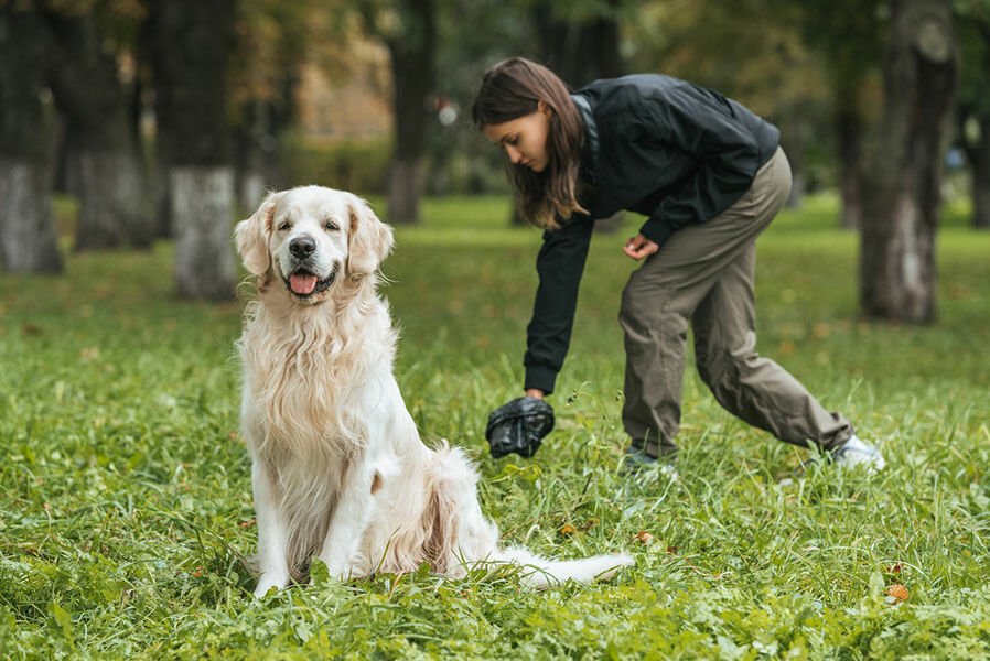 Eine Hundehalterin entfernt die Hinterlassenschaften ihres Hundes mit einer schwarzen Plastiktüte.