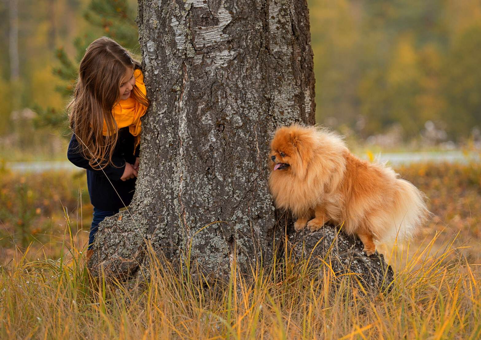 Hund und Halterin spielen Verstecken.