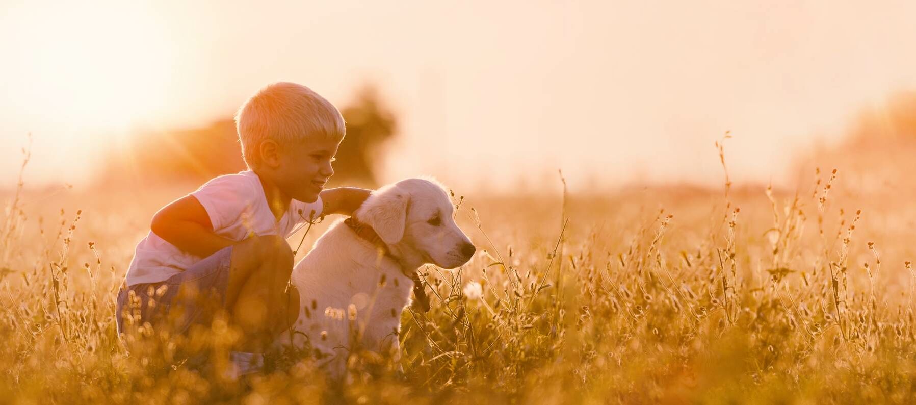 Kind ist auf einem Feld mit seinem Hund.