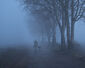 Hund und Halter sind im Nebel schemenhaft zu erkennen.