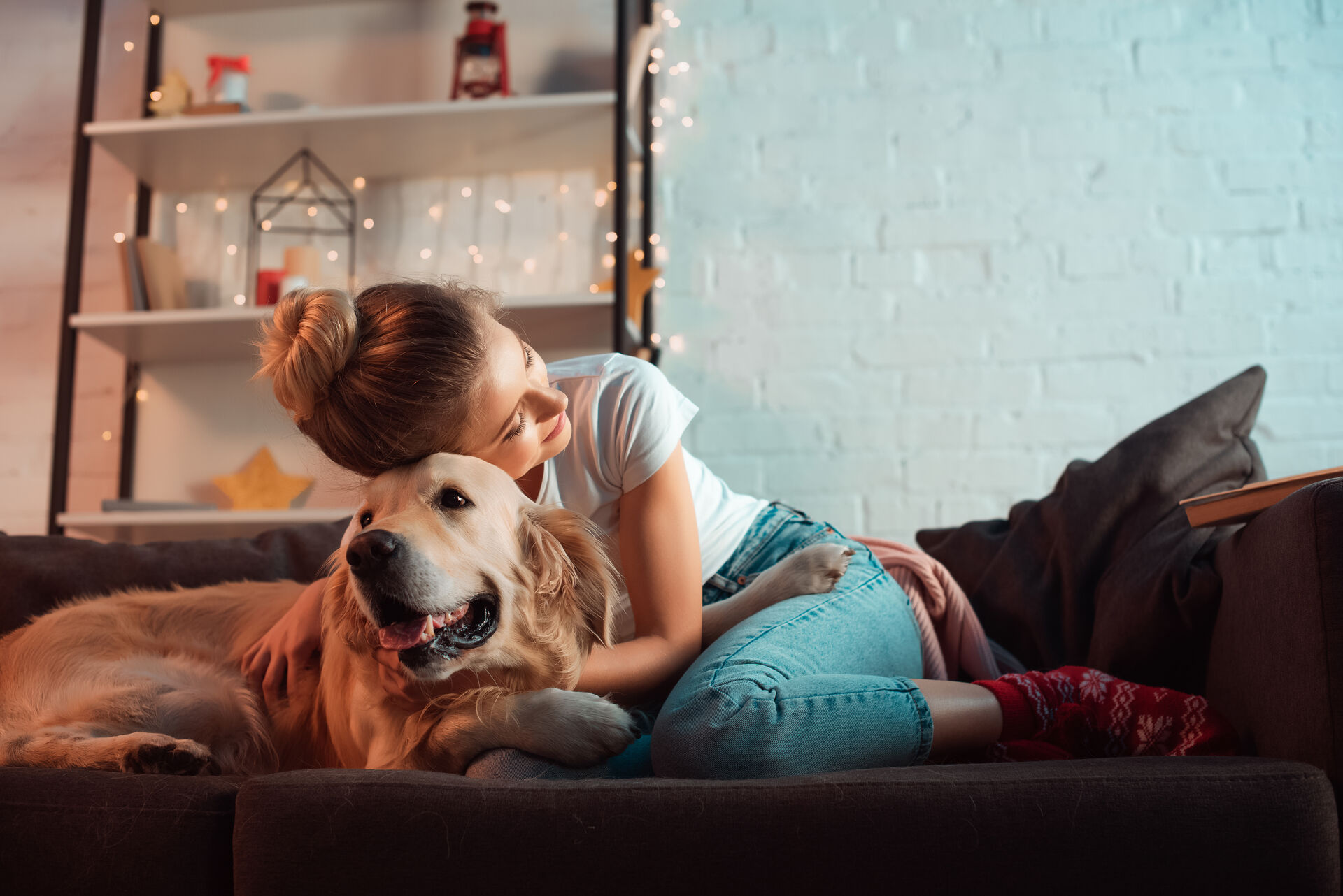 Weihnachten 2020 mit Hund