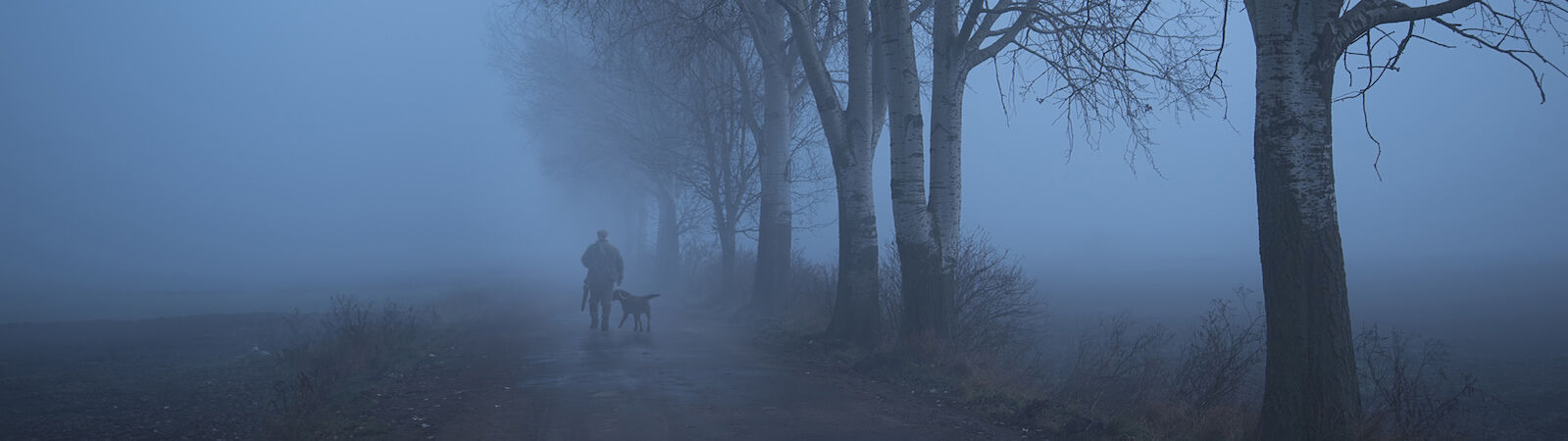 Hund und Halter sind im Nebel schemenhaft zu erkennen.