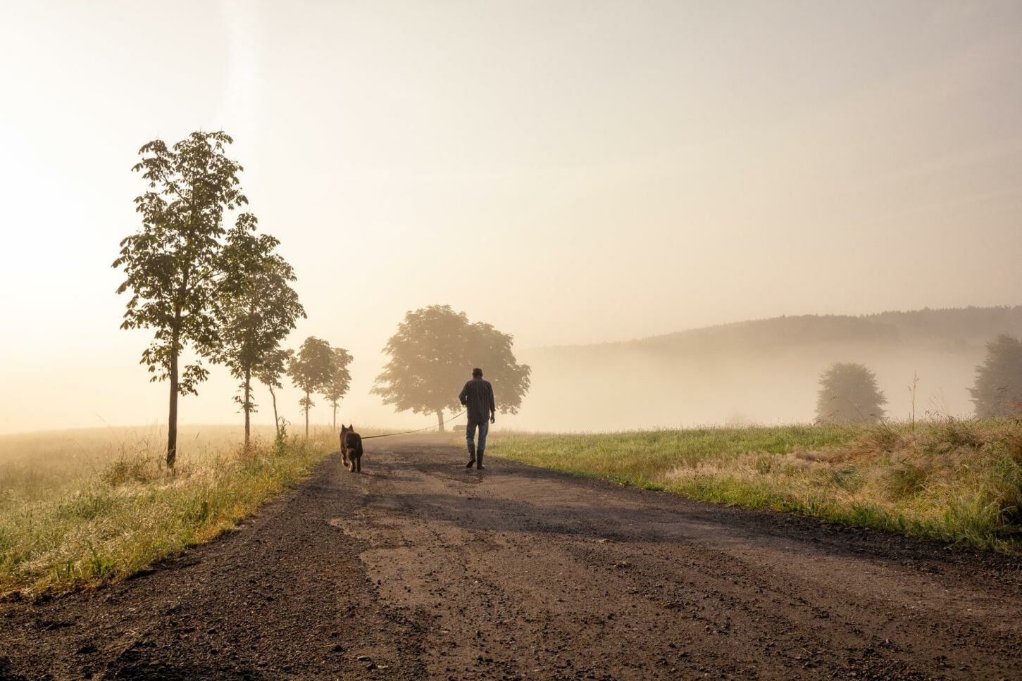 neblige Landschaft, in der Ferne ein Mensch und ein Hund