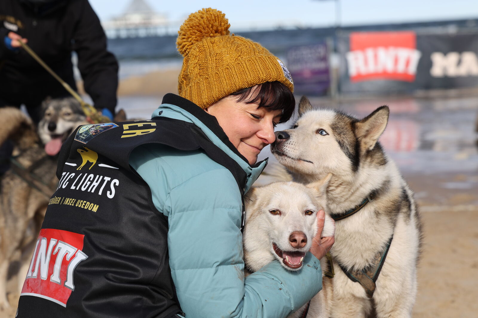 Zwei Huskys beim Schlittenhunderennen Baltic Lights mit ihrer Schlittenführerin