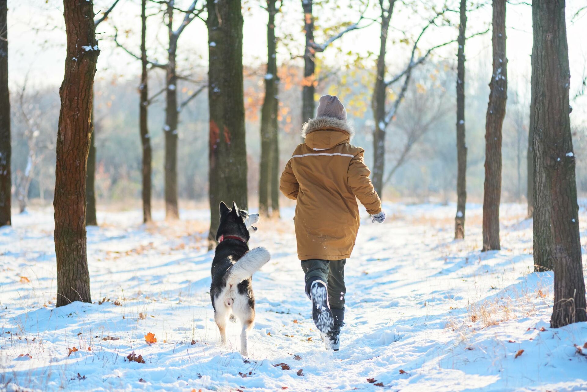 Hund und Halter rennen durch eine Schneelandschaft.