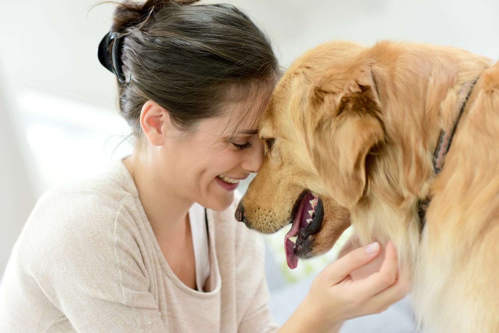 Hund kuschelt Kopf an Kopf mit seinem Frauchen.