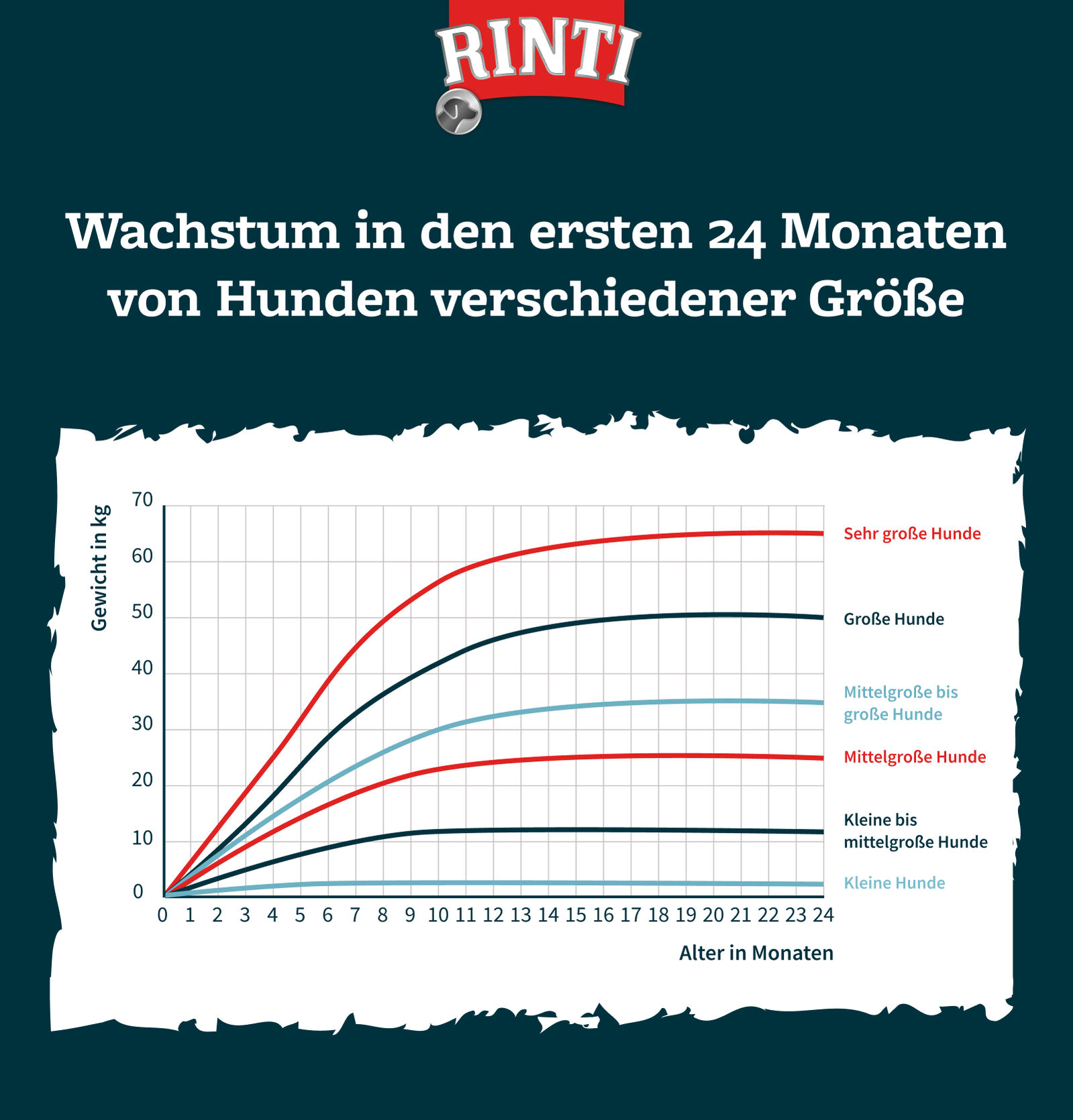 Infografik zum Wachstum von Hunden