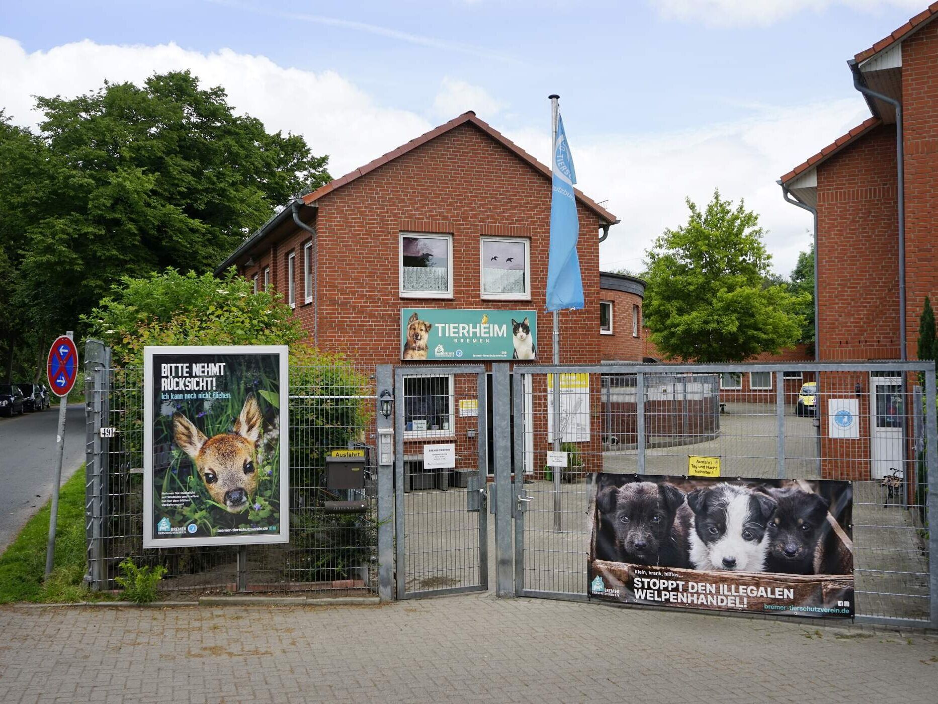 Hunde aus dem Tierschutz