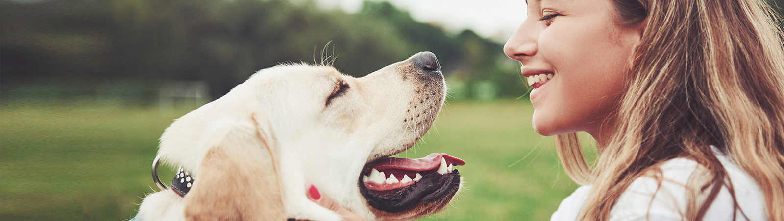 Frau und Hund schauen sich an, Frau lacht.