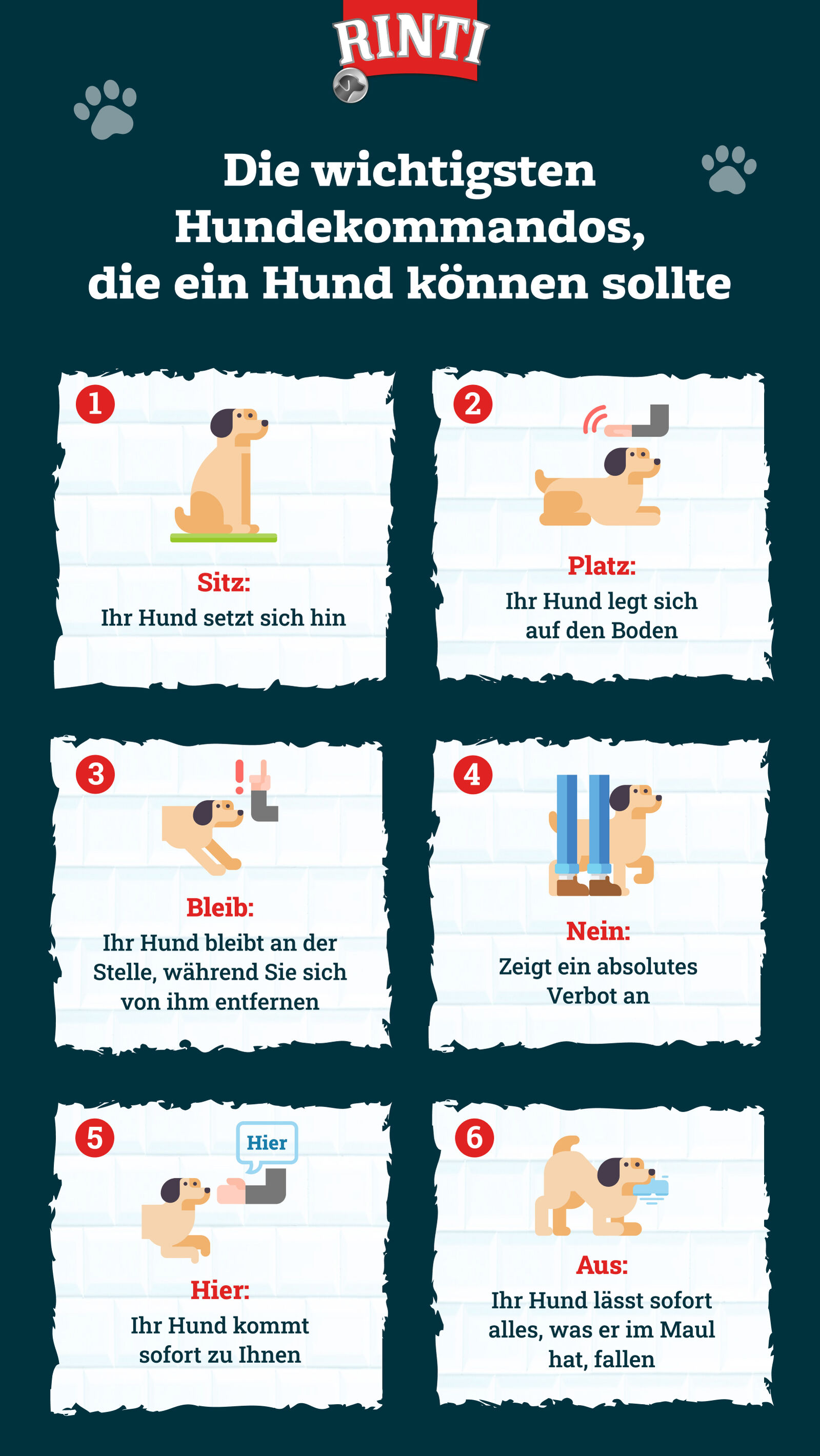 Infografik von Rinti zum Thema Hundekommandos