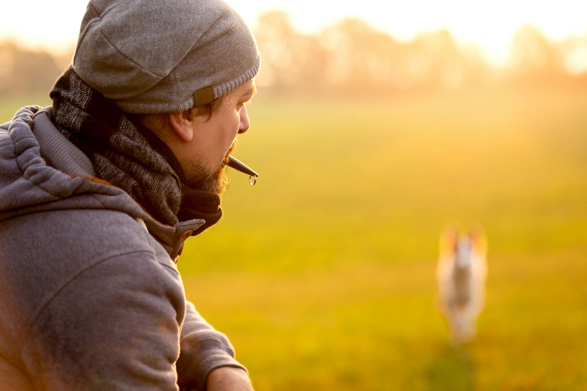 Befehle an den Hund - oder doch lieber Kommandos?