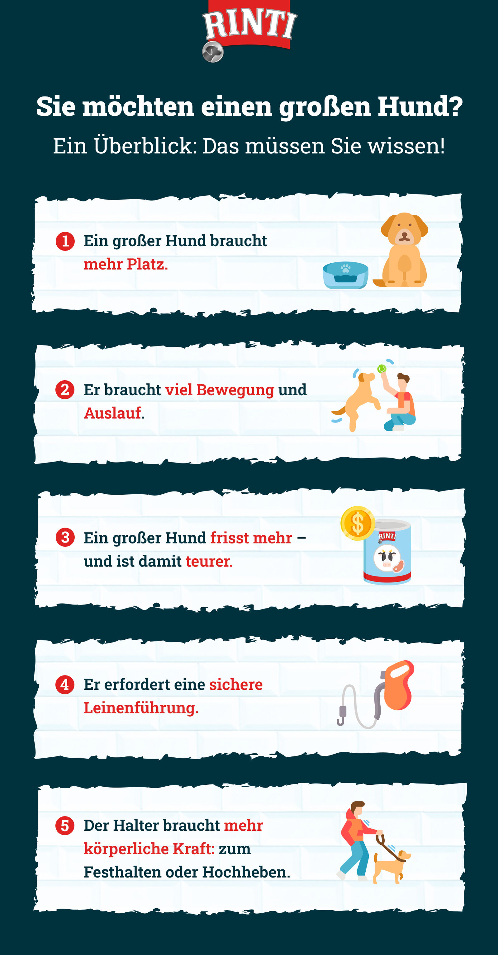  Infografik zur Anschaffung großer Hunde – das müssen Halter wissen