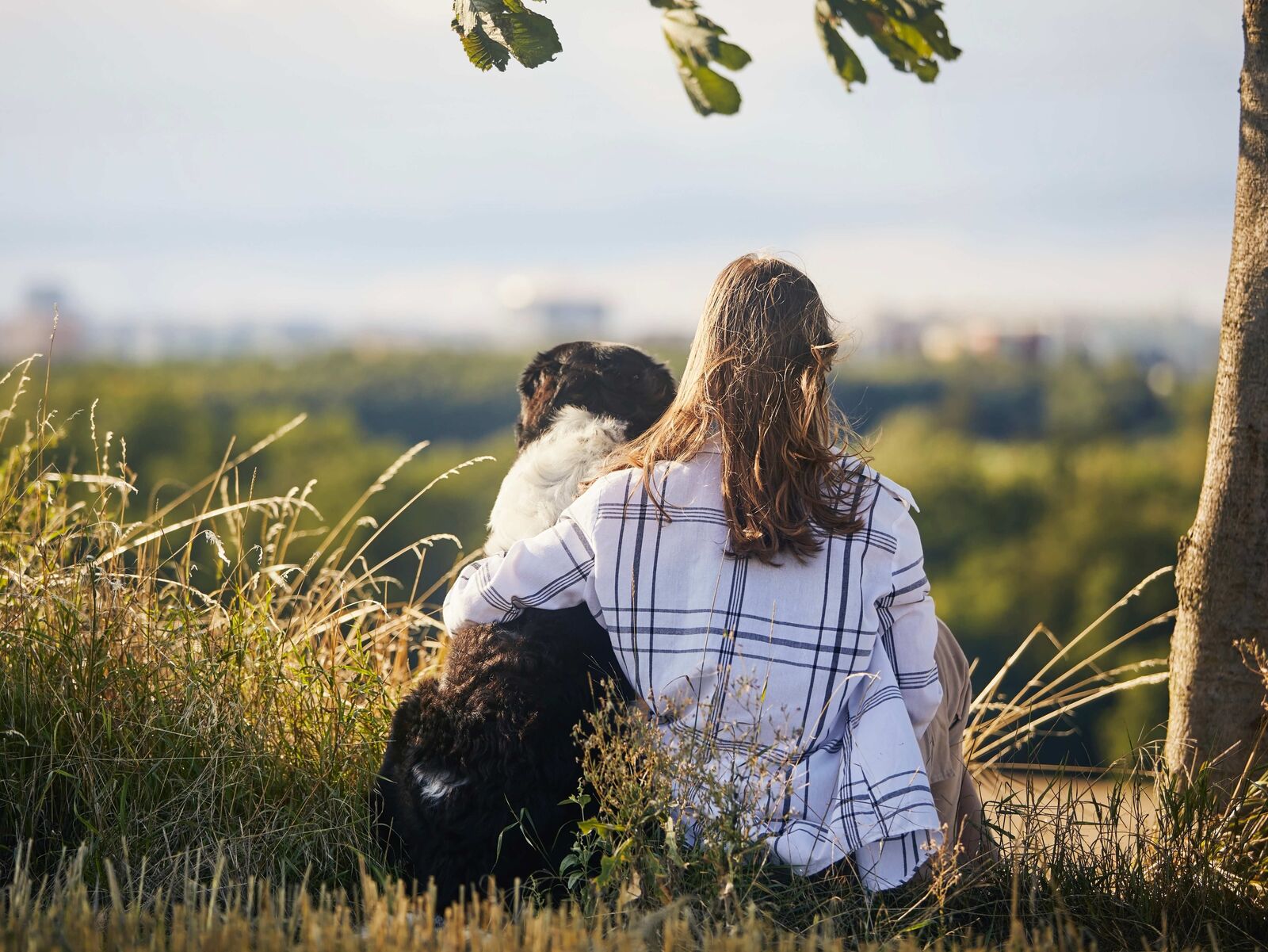 Vertrauen zum Hund aufbauen – aber wie?