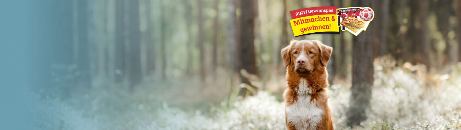 RINTI - Premium Hundefutter