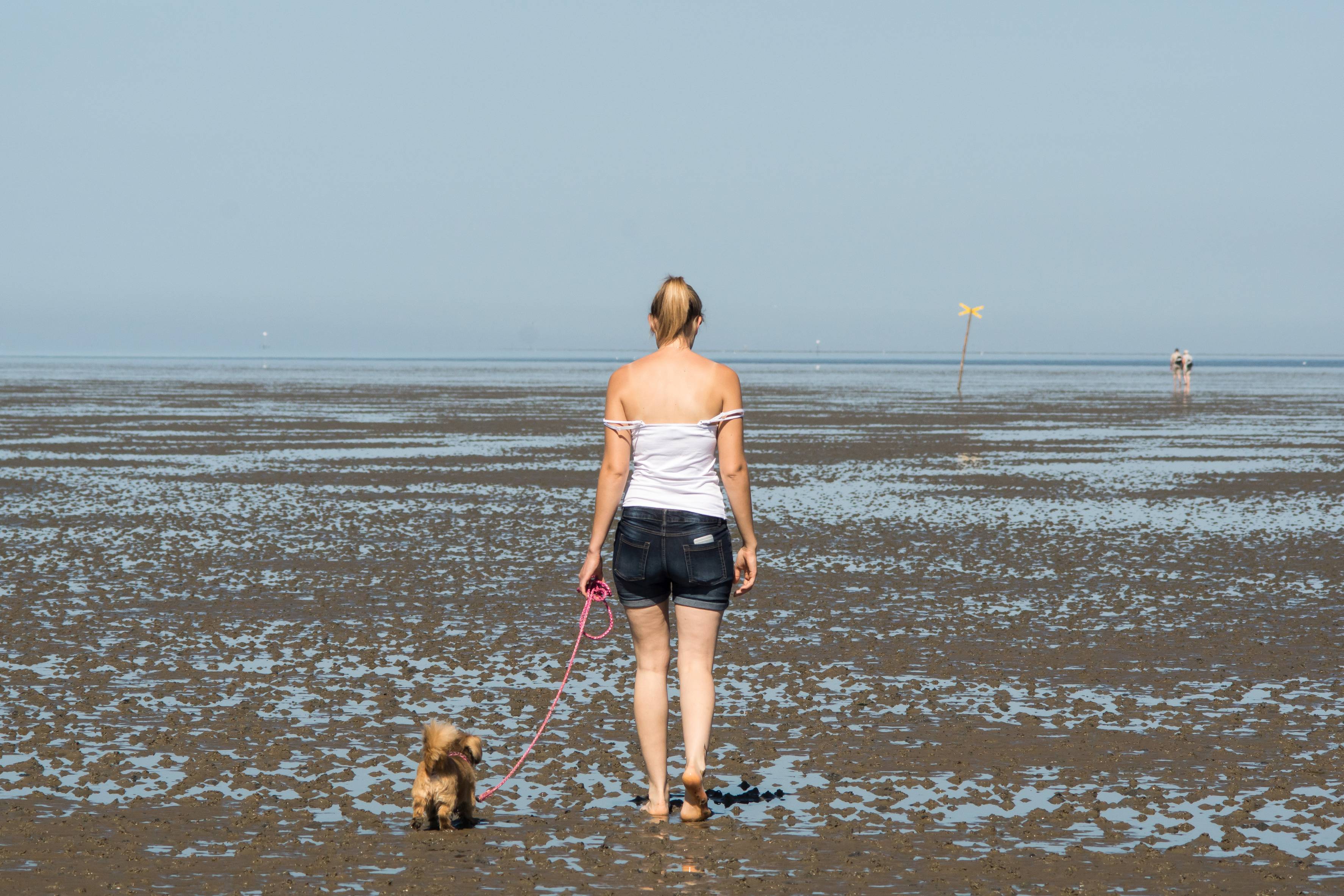 Frau geht mit angeleintem Hund im Watt spazieren