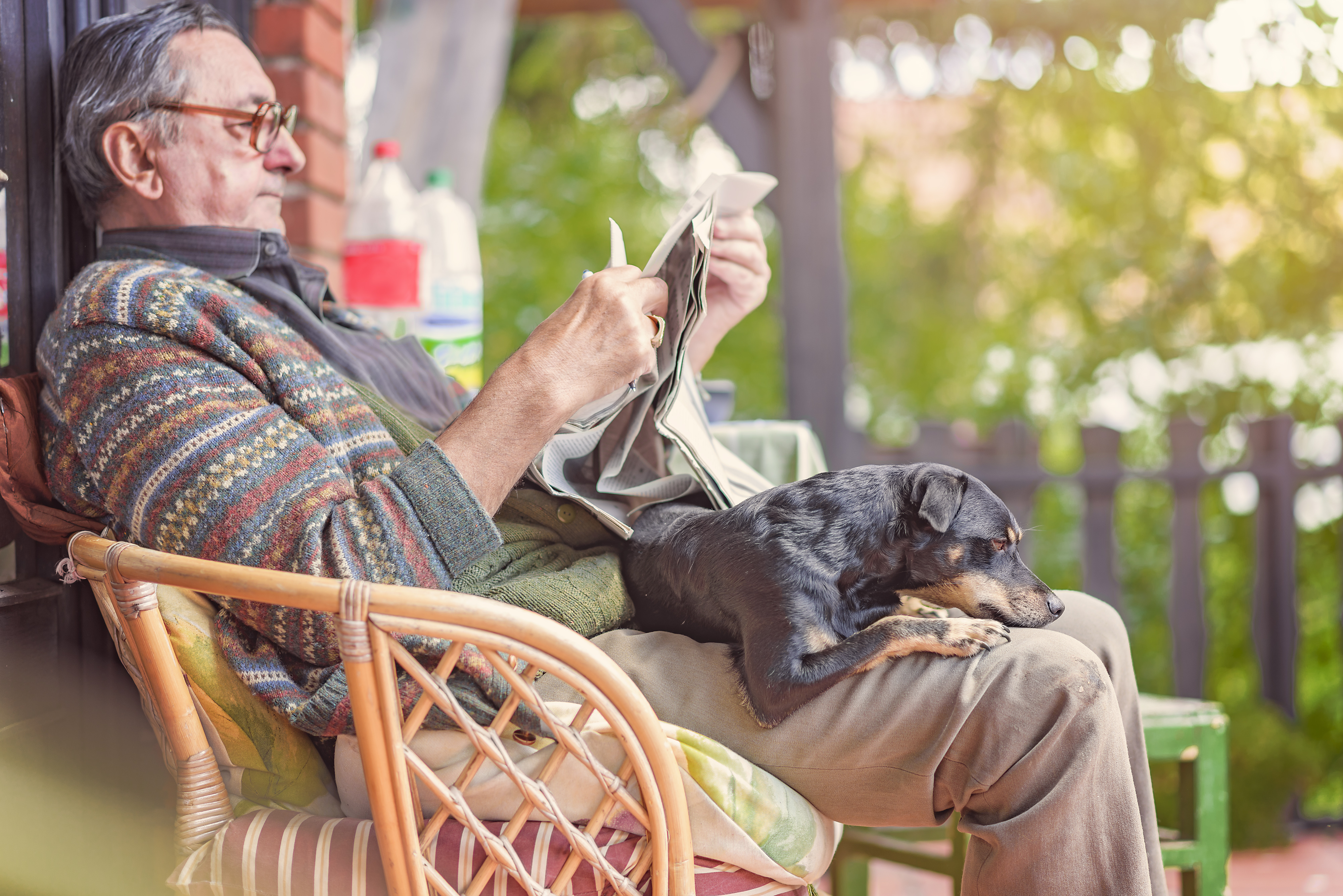 Hunde für Senioren – ein treuer Begleiter für den Ruhestand