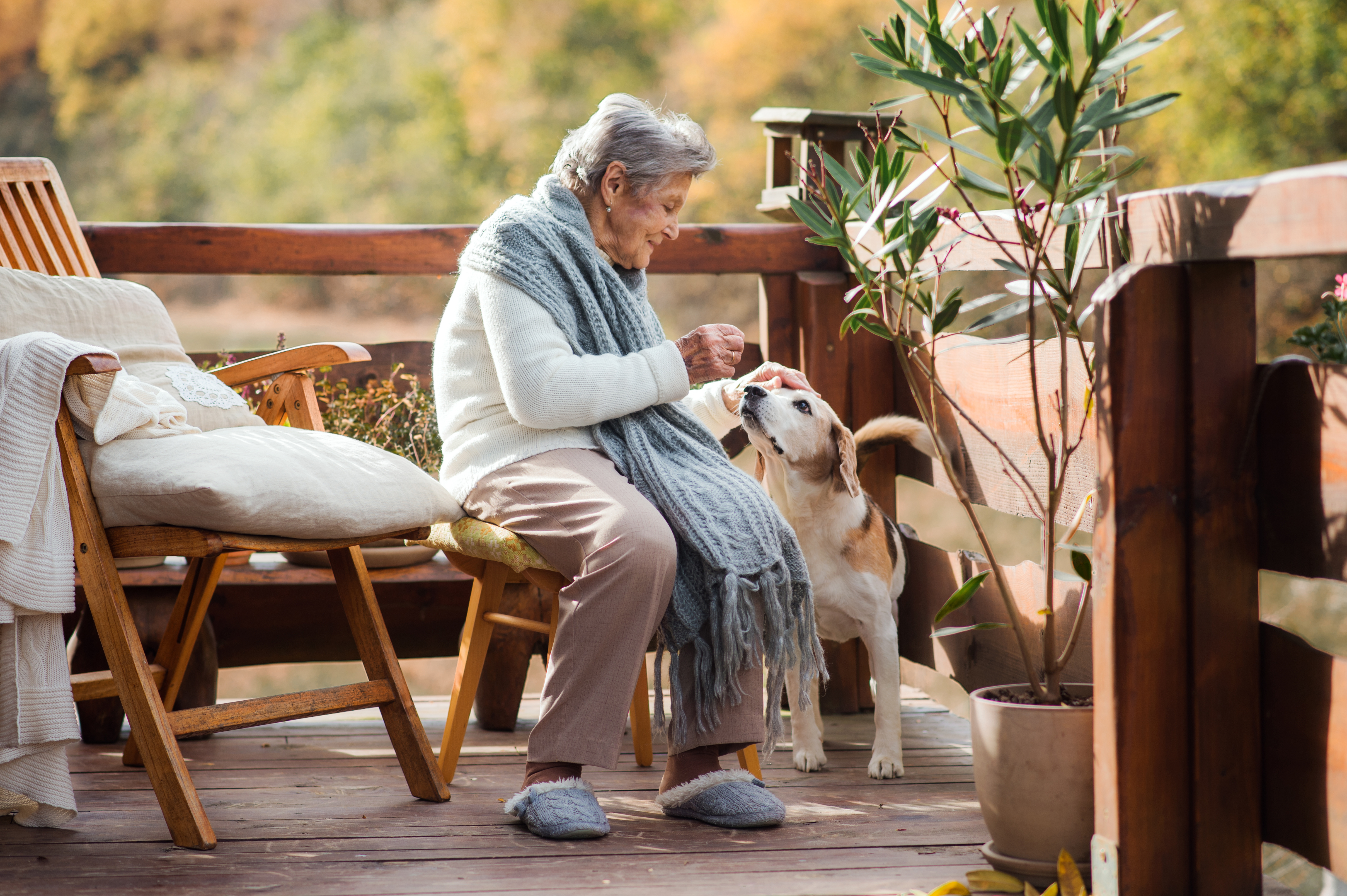  Eine alte Frau sitzt draußen auf einer Terrasse und streichelt einen Hund.