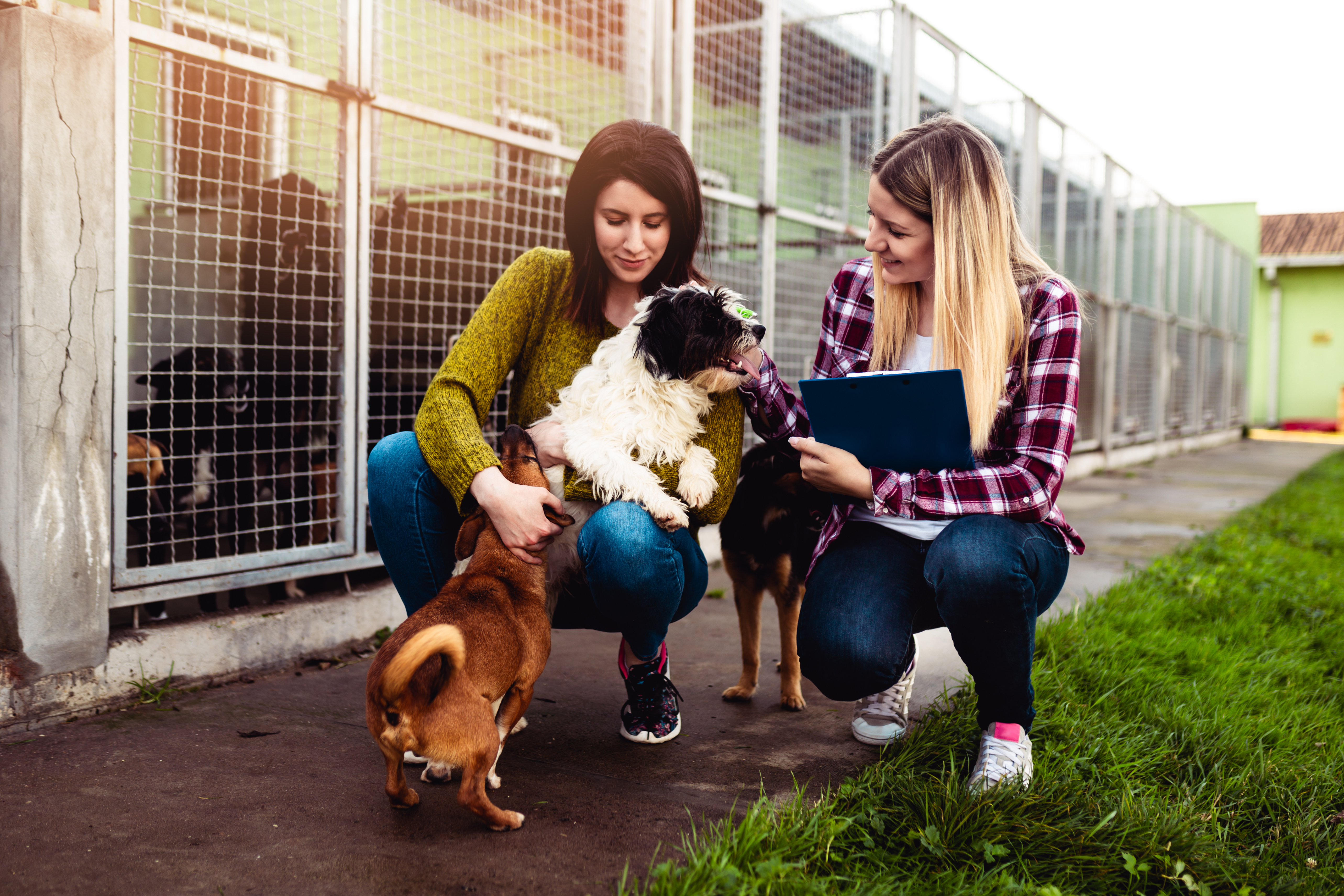 Zwei Frauen schauen sich im Tierheim verschiedene Hunde an.