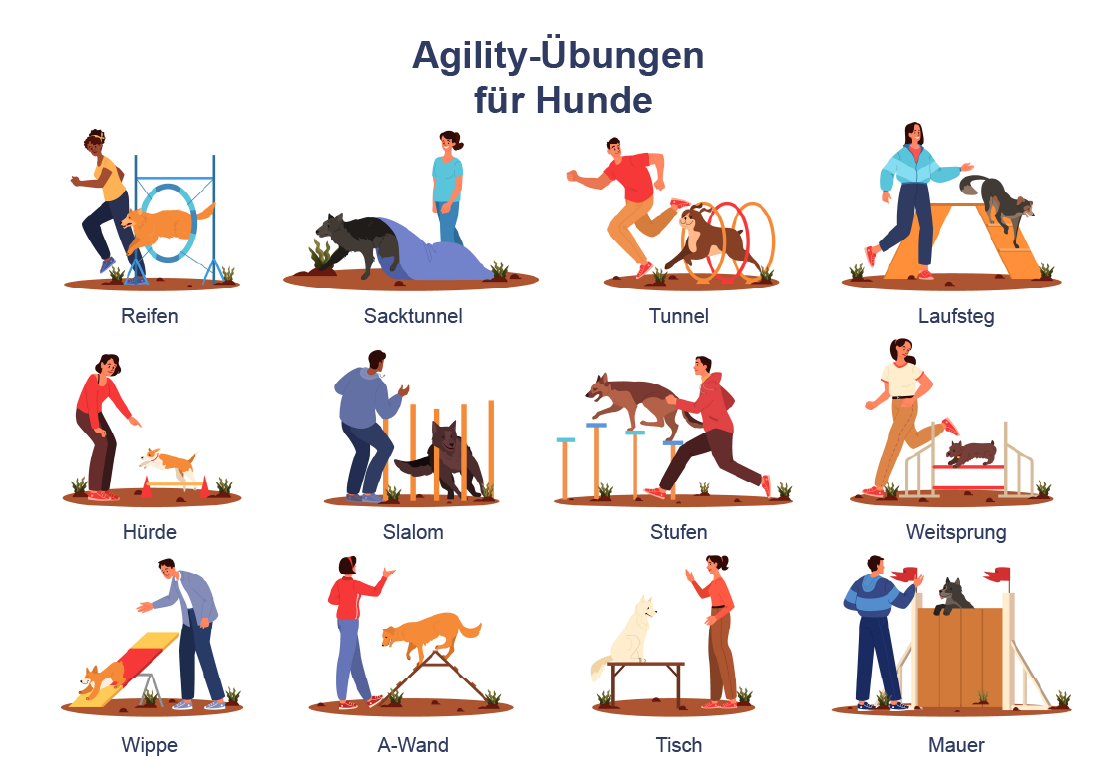 Übersicht von Agility-Übungen für Hunde.