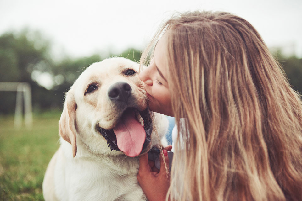 Eine junge Frau küsste auf einer Wiese die Schnauze Ihres Hundes. 