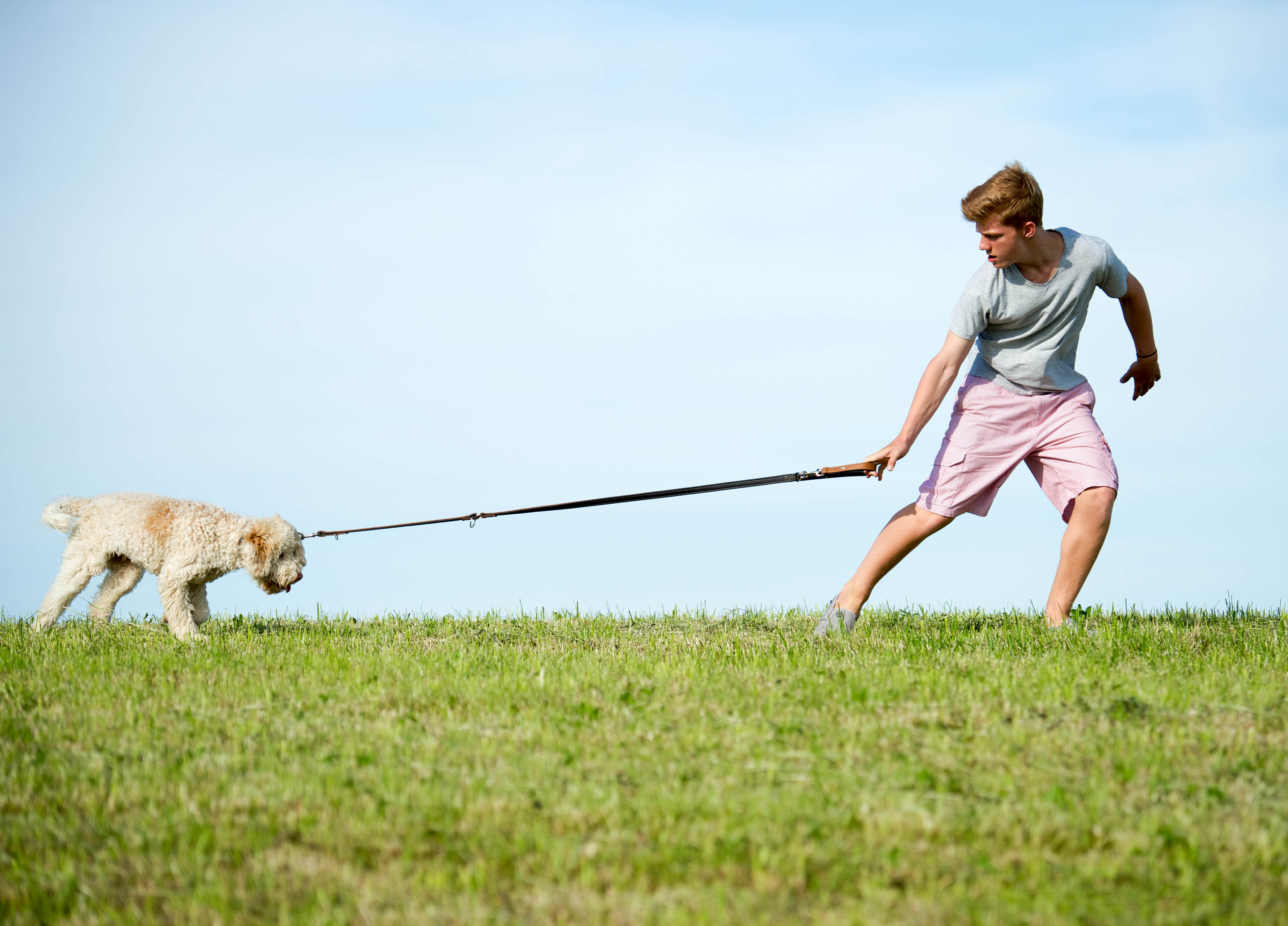 Ihr Hund will nicht Gassi gehen?